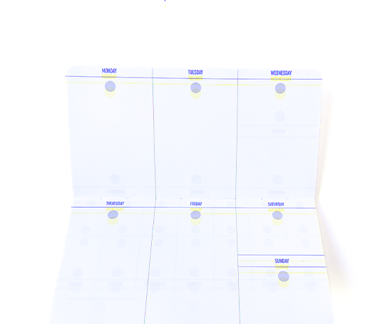 Good Luck - planificateur 6 mois