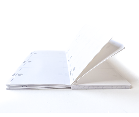 Good Luck - planificateur 6 mois