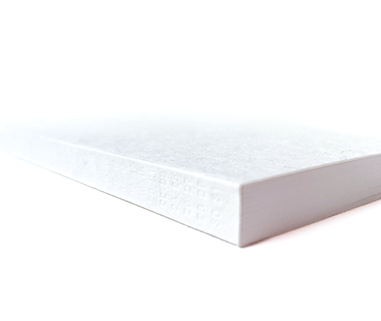 Planificateur mensuel et notes - yy mm dd