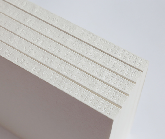 Planificateur mensuel et notes - yy mm dd