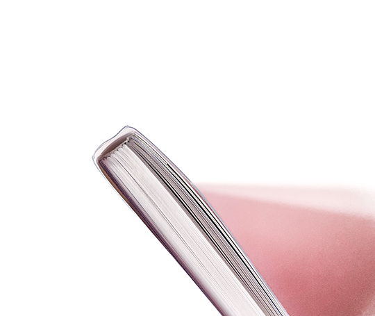 Carnet Pigments - Indi Pink