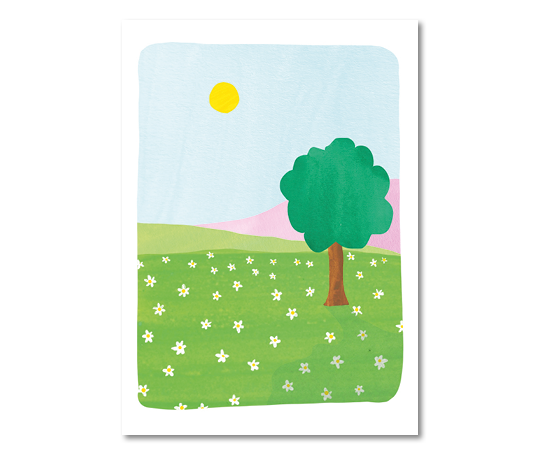 Carte - Champ de pâquerettes