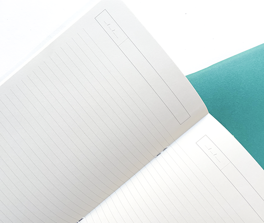 Season Paper - carnet illustré - Limonata