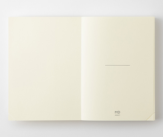 MD Product - Codex 1 Day 1 Page