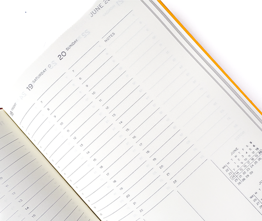 Leuchtturm agenda 26/27 A5 rigide en colonnes - Forest