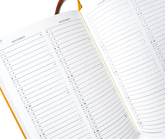 Leuchtturm agenda 26/27 A5 rigide en colonnes - Forest