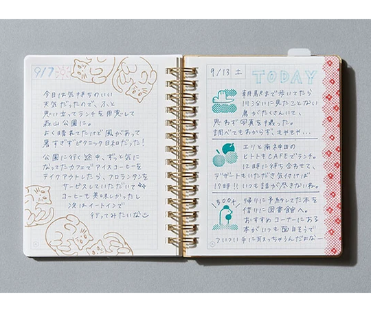 Cachet transparent - Chat