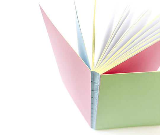 Carnet cousu main Ofelia - Rose et vert