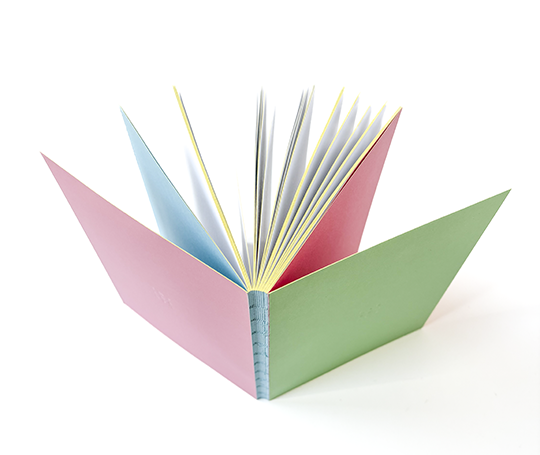 Carnet cousu main Ofelia - Rose et vert