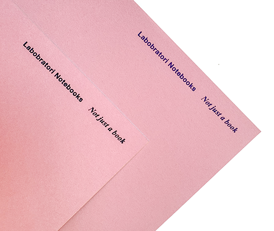 Carnet cousu main Ofelia - Rose et vert