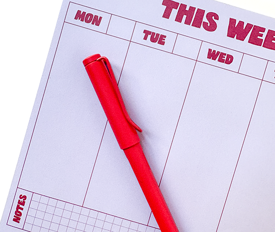 Planificateur hebdomadaire "This week's plan"