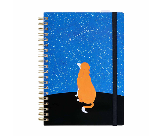 Carnet à spirales - Night Sky