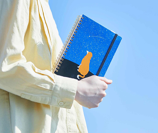 Carnet à spirales - Night Sky