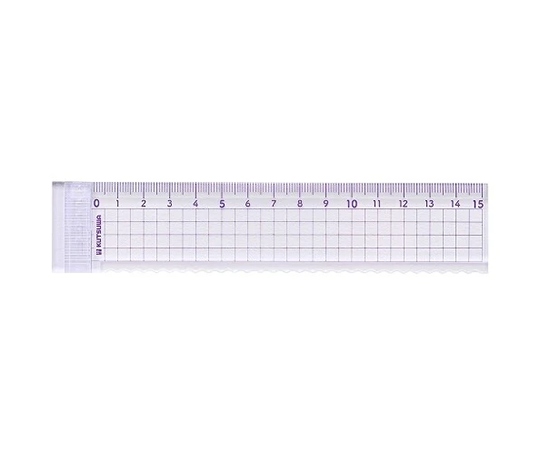 Règle festonnée de 15 cm