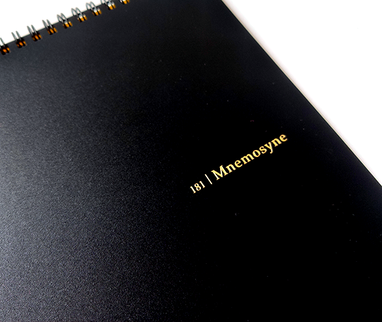 Mnemosyne 181 - Carnet A4 blanco