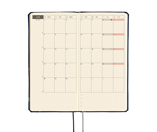 Hobonichi Techo Weeks Mega Agenda 2027 - Candy Dream