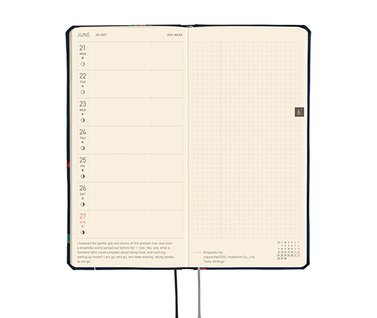 Hobonichi Techo Weeks Mega Agenda 2027 - Candy Dream