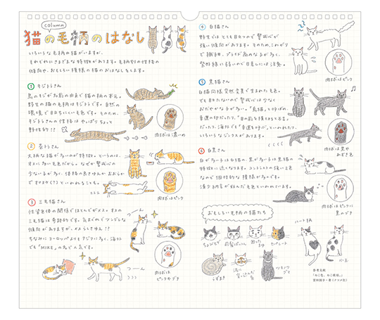 Midori - Calendrier 2027 - Chats