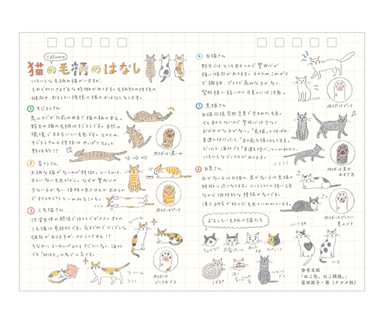 Midori - Calendrier de bureau 2027 - Chats