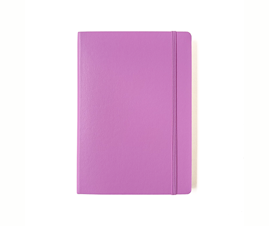 New Color 2027 Leuchtturm carnet A5 rigide - Bubblegum