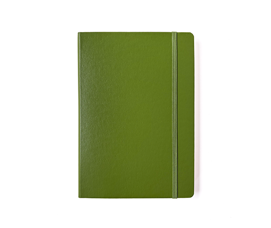 New Color 2027 Leuchtturm carnet A5 rigide - Moss