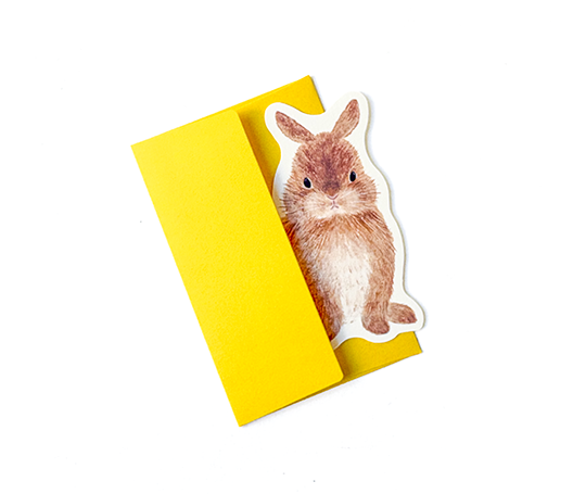 Mini carte Lapin avec enveloppe