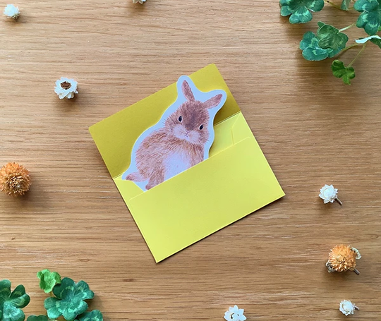 Mini carte Lapin avec enveloppe