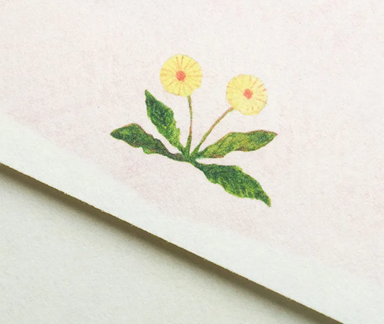 Ensemble de papier à lettres - Flower Birds de Midori Asano