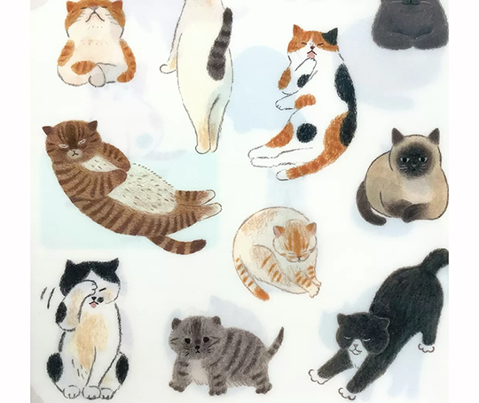 Chemise A5 en plastique - Chats