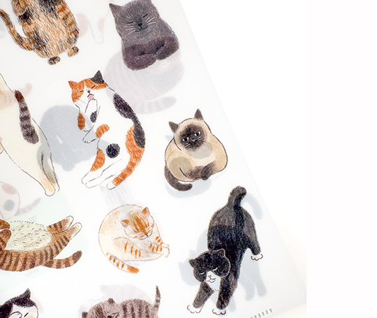 Chemise A5 en plastique - Chats